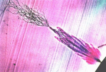 HVA45TD,<a href='http://www.swschina.com/Ppzq/b2.html'>B2HV</a>