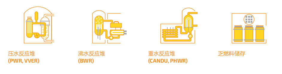 RADCAM® Epsilon核電設施輻射持續性監控相機應用
