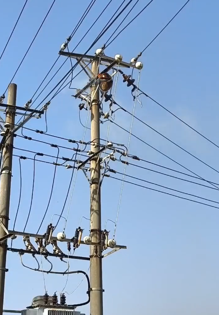 激光清障儀清除鳥(niǎo)窩