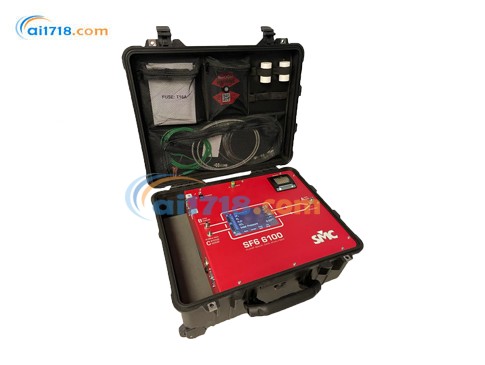 SF6 6100泵回氣體分析儀