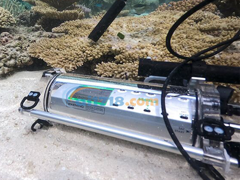 DIVING-PAM-II 帶微型光譜儀的水下熒光計